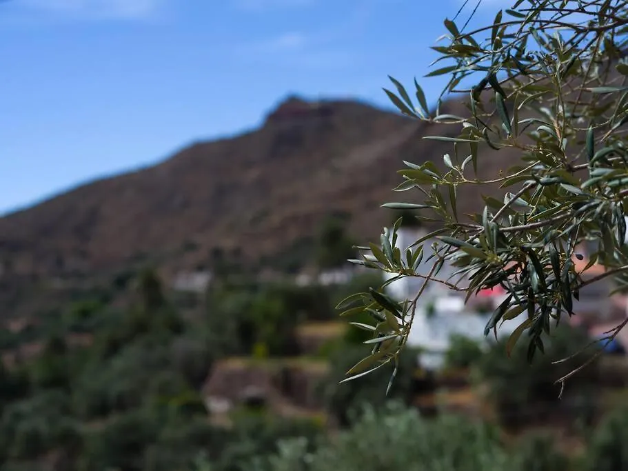 Casa Perilla Villa Temisas Spanien